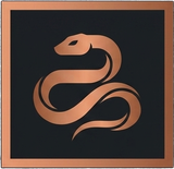 Naga logo